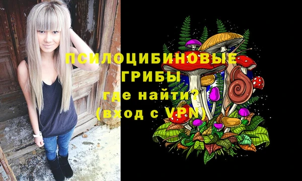 шишки Балахна