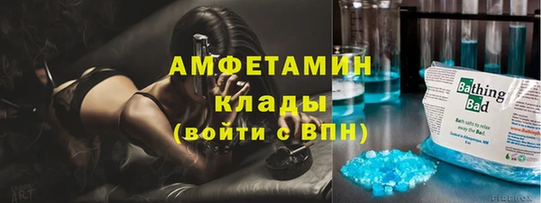 шишки Балахна