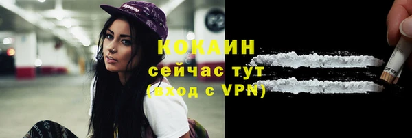 шишки Балахна