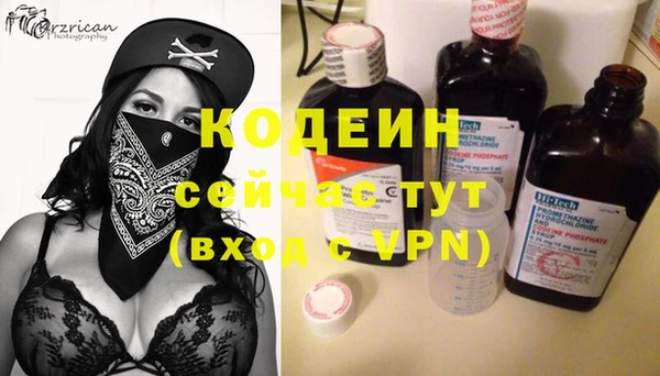 шишки Балахна