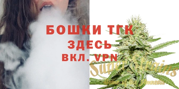 шишки Балахна