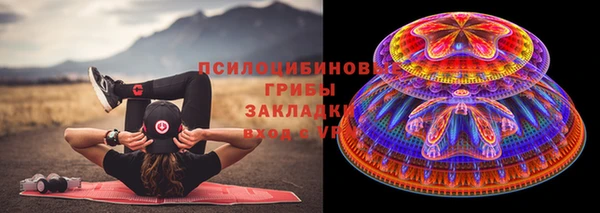 шишки Балахна